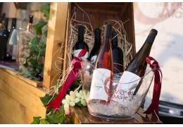 Lebanon's newest "It" Winery : Les Vignes du Marje